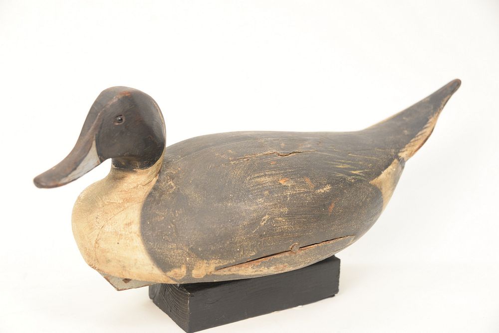 Appraisal: Ward Brothers Pintail Drake Decoy Crisfield Maryland original paint turned