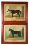 Appraisal: PAIR EQUESTRIAN CHROMOLITHOS - Portraits of Thoroughbreds 'Hindoo' and 'Santa