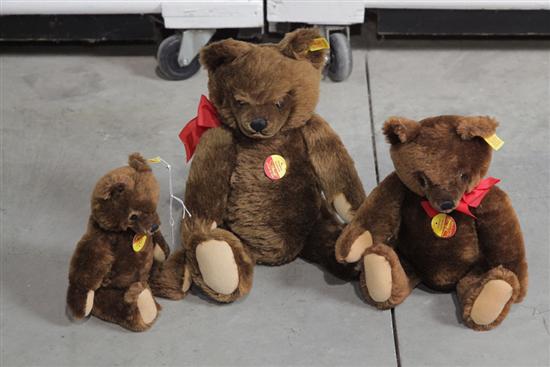 Appraisal: THREE STEIFF BEARS ''Original Teddybar'' in dark brown Three graduated