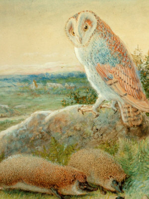 Appraisal: W Webb late th early th century - Owl with