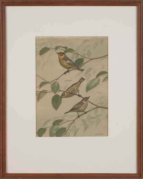 Appraisal: Earl Lincoln Poole American - watercolor of three finches signed