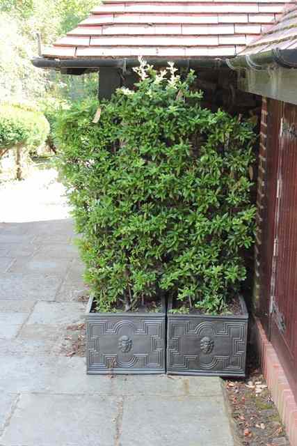 Appraisal: A PAIR OF SQUARE SECTION FAUX LEAD PLANTERS each with