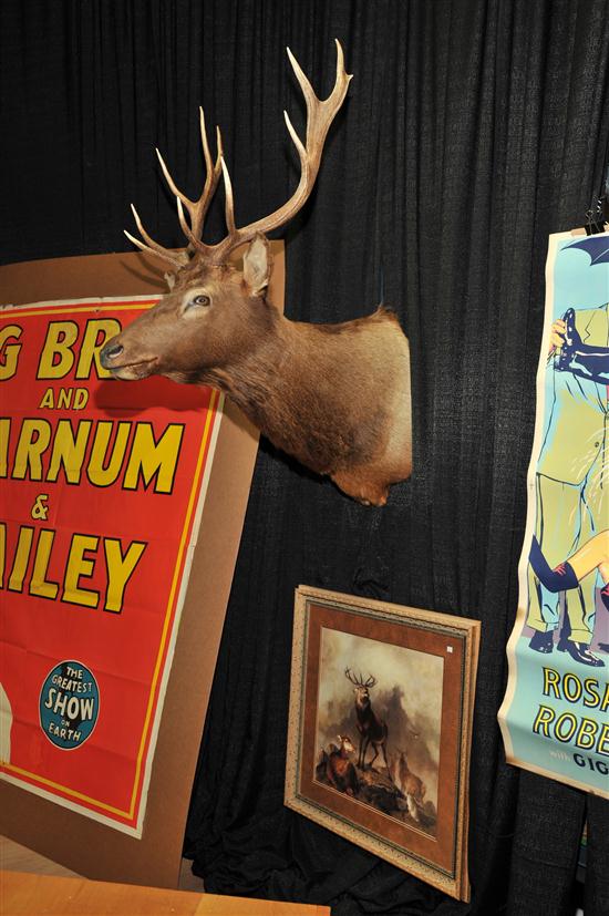 Appraisal: ELK TAXIDERMY MOUNT AND PRINT Ten point elks head ''