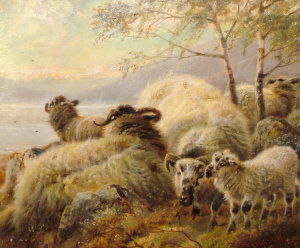 Appraisal: Robert Watson - - Lambs and ewes sheltering in a