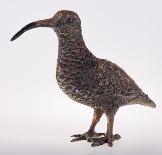 Appraisal: Polychrome Vienna Bronze Kiwi Bird Statue Polychrome Vienna bronze statue