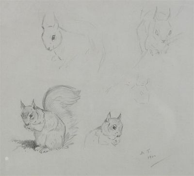 Appraisal: Archibald Thorburn - Study of a squirrel Signed and dated