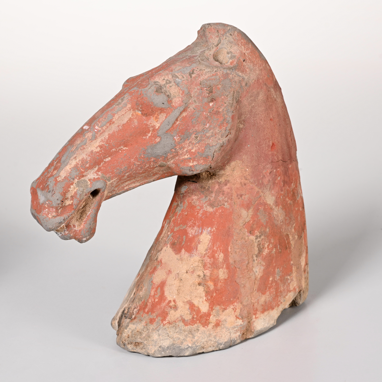 Appraisal: CHINESE TERRACOTTA TANG HORSE HEAD Tang Dynasty or later in