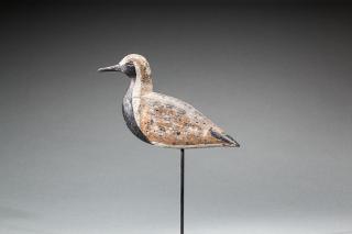 Appraisal: Plover Virginia c An Eastern Shore of Virginia shorebird with