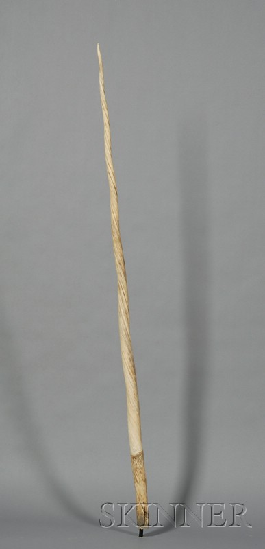 Appraisal: Large Narwhal Tusk th century left-spiraling growth lg dia at