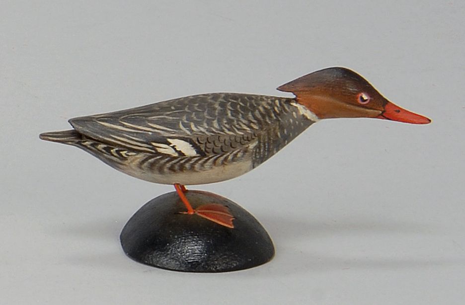 Appraisal: MINIATURE RED-BREASTED MERGANSER HEN By A E Crowell of East