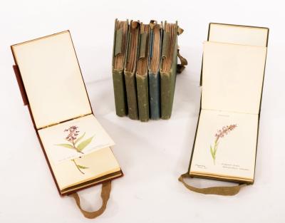 Appraisal: Henri Correvon - Botanical Studies a collection of approximately two