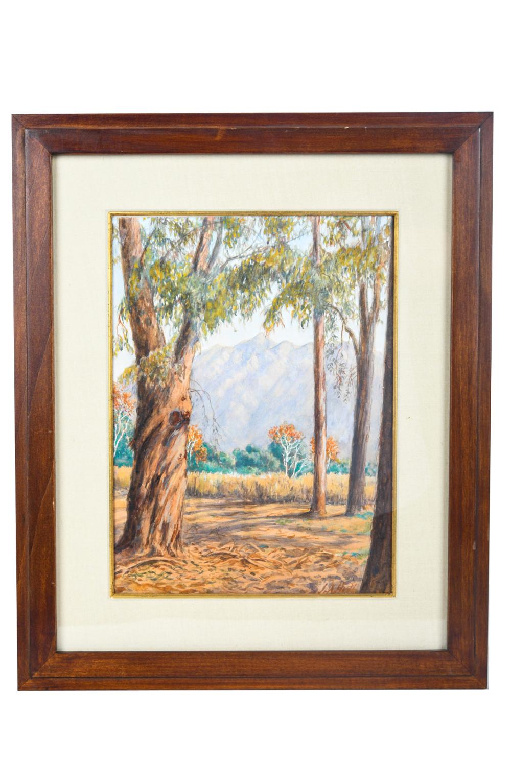 Appraisal: ANNA ALTHEA HILLS - COTTON WOODS watercolor signed lower right