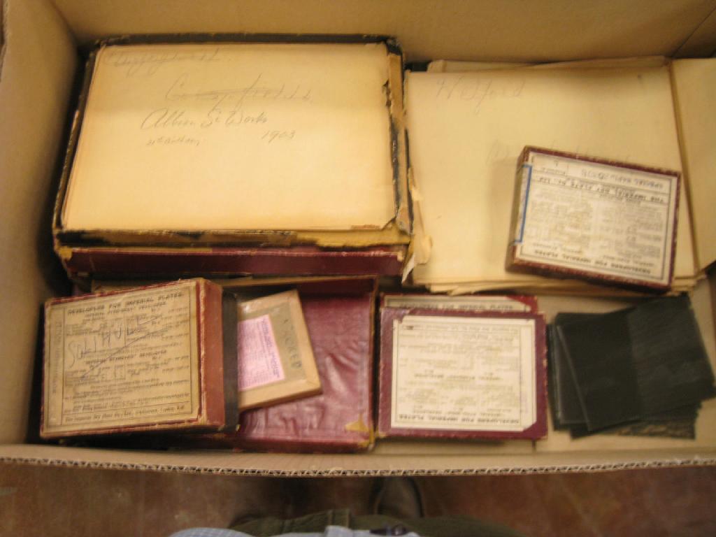 Appraisal: Various Whole Plate glass portrait Negatives and plate topographical