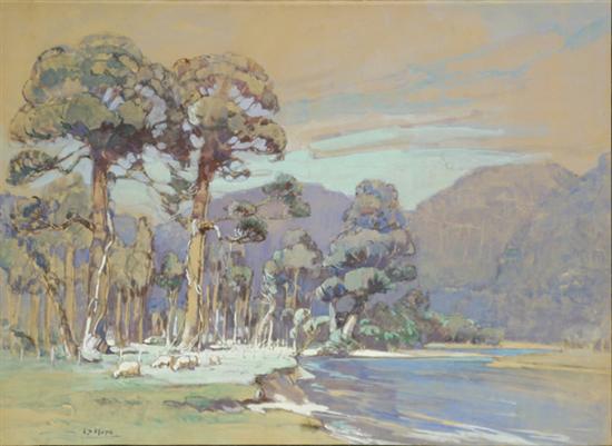 Appraisal: Esther Studholme Hope New Zealand - View of MacKenzie County