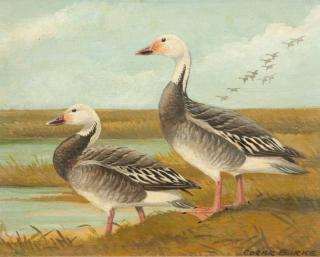 Appraisal: Edgar Burke Blue Geese signed Edgar Burke lower rightoil on