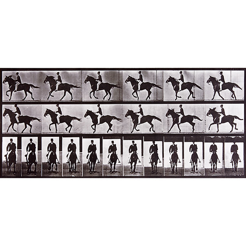 Appraisal: Eadweard Muybridge British American - Animal Locomotion plate nos ten