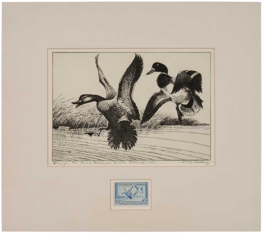 Appraisal: Jay Norwood Ding Darling American - Federal Duck Stamp Etching