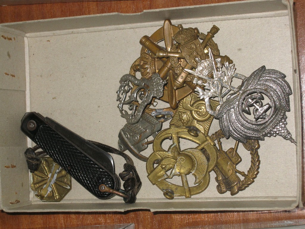 Appraisal: Box of assorted military badges and a pocket knife