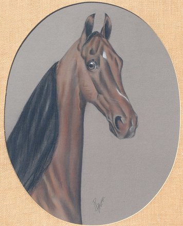 Appraisal: HOFF R American th C Horse Portrait Pastel '' x