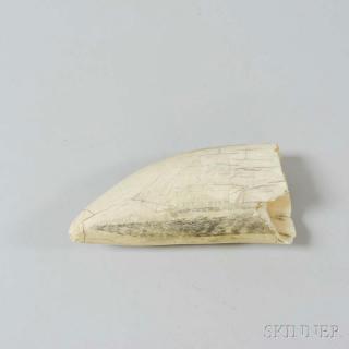 Appraisal: Scrimshaw-decorated Whale's Tooth th century losses lg in Estimate -