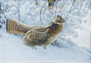 Appraisal: Fresh Snowfall Robert Bateman - acrylic on board x signed