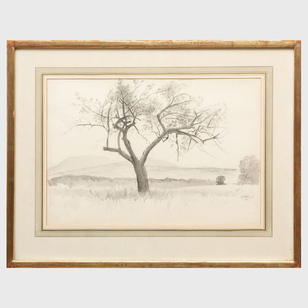 Appraisal: Edward Barnard Lintott - Untitled Tree Pencil and wash on