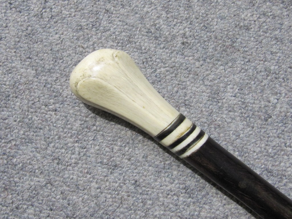 Appraisal: Ivory handled walking stick