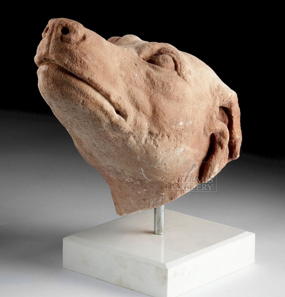 Appraisal: Stunning Roman Marble Head of a Dog Roman Imperial Period