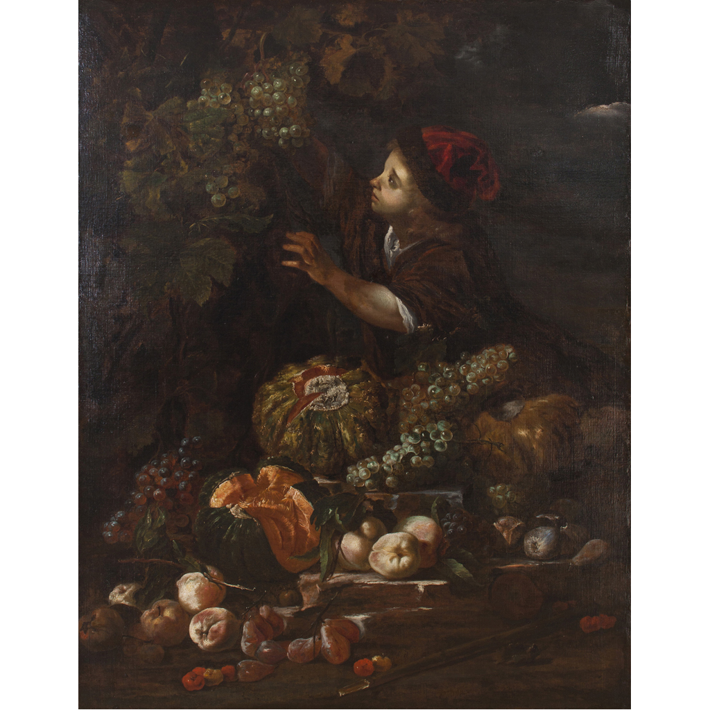 Appraisal: CIRCLE OF ABRAHAM BRUEGHEL AND MICHELANGELO CERQUOZZI BOY PICKING GRAPES