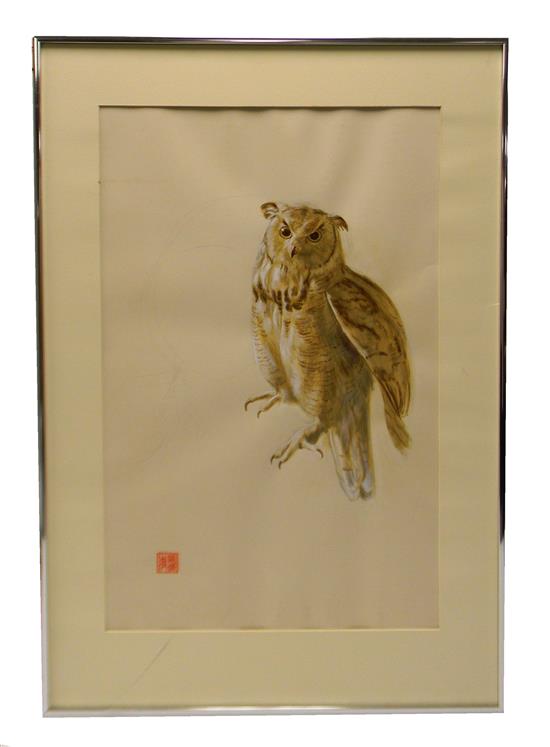 Appraisal: ASIAN th C watercolor and pencil study of owl red