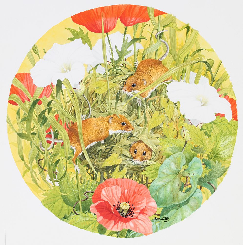 Appraisal: Ken Lilly - Harvest Mice At Nest Ken Lilly British