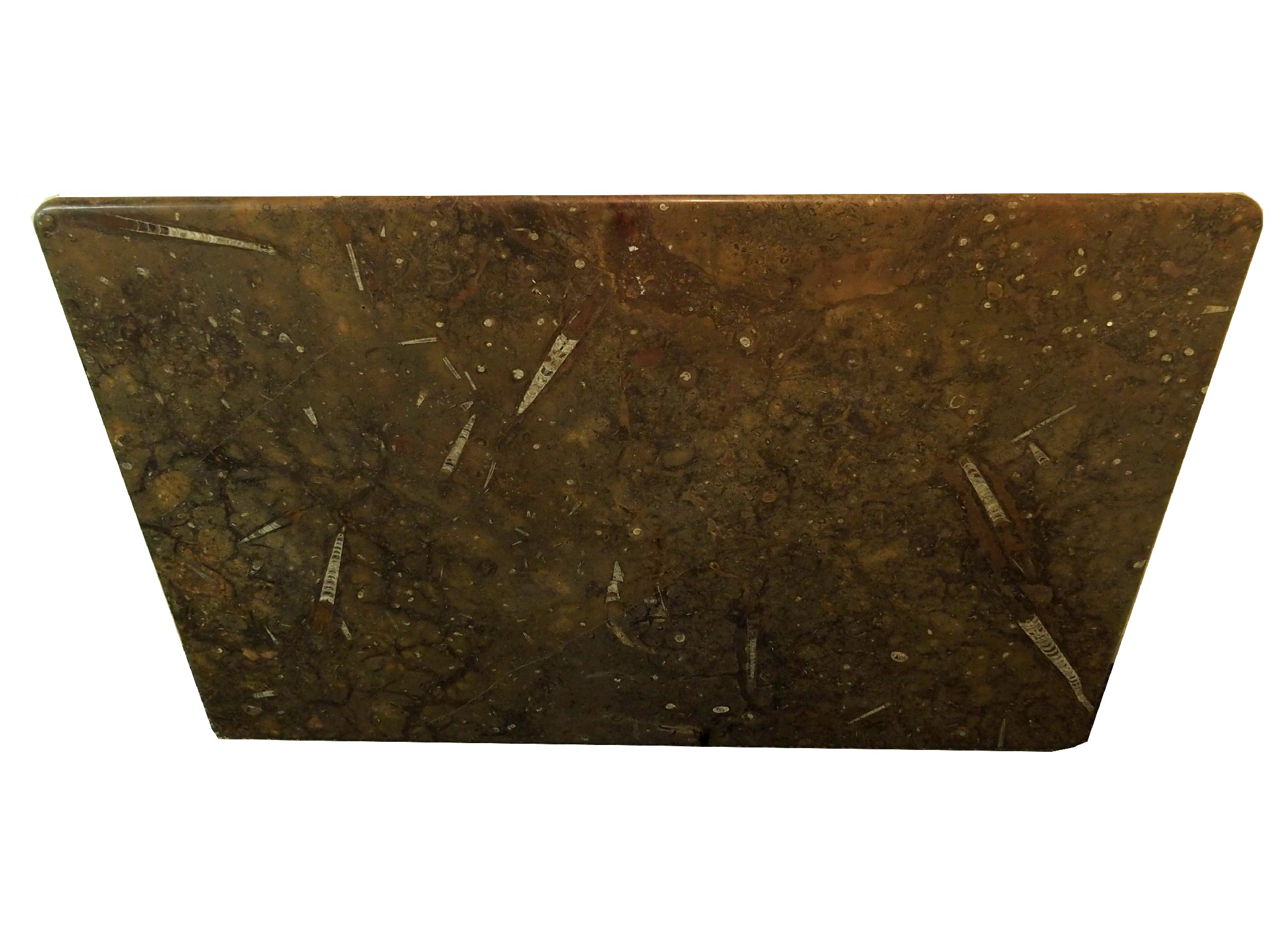 Appraisal: A rectangular Fossilised Morocco marble table top with rounded edges