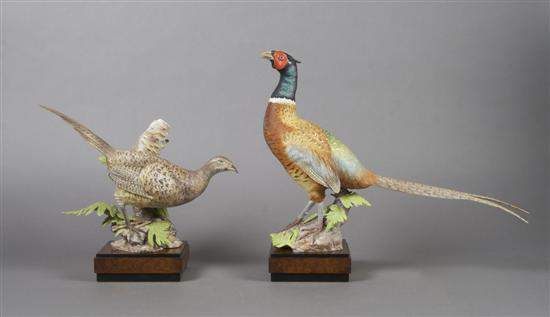 Appraisal: A Pair of Royal Worcester Birds Ringed Neck Pheasant Height