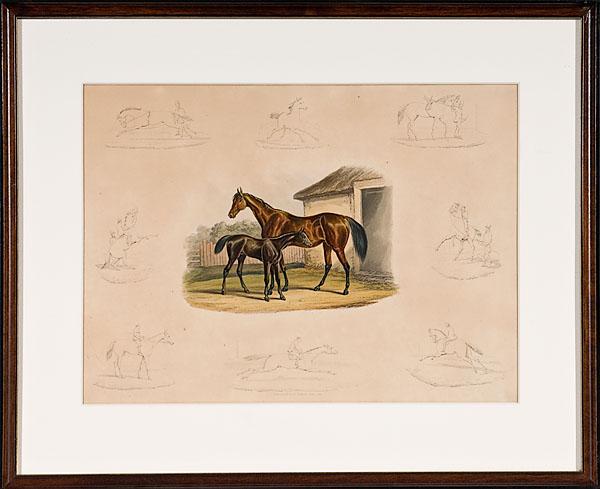 Appraisal: THE LIFE AND DEATH OF A RACE-HORSE six hand colored