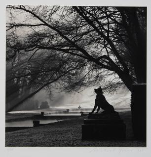 Appraisal: Photograph Michael Kenna Michael Kenna American b Guardian Wolf Courances