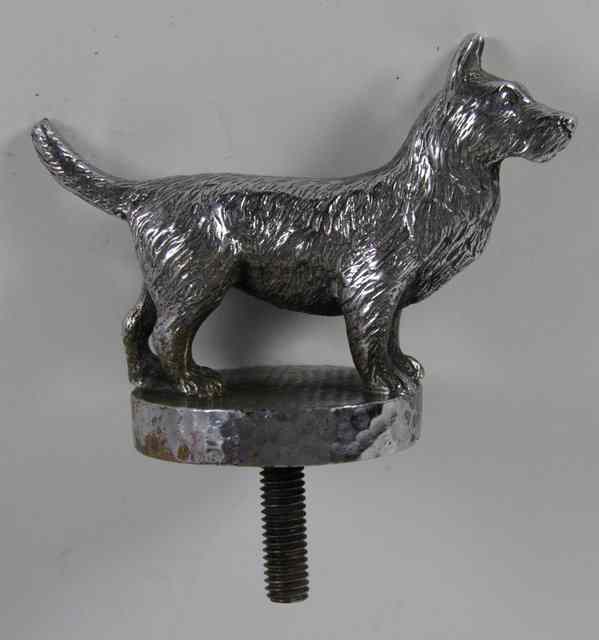 Appraisal: A chrome terrier car mascot