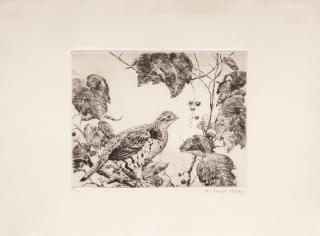 Appraisal: Aiden Lassell Ripley - Grouse on a Branch signed A