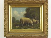 Appraisal: OOC LAID ON BOARD - Pastoral Scene with Sheep by