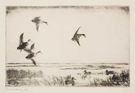 Appraisal: FRANK W BENSON Three etchings Ducks Alighting Edition of Signed