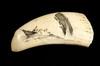 Appraisal: SCRIMSHAW - Whale's tooth with scrimshaw scene of boat and