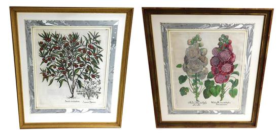 Appraisal: Two probably th C botanical prints each hand-painted both possibly