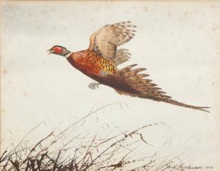 Appraisal: David Hagerbaumer Pheasant in Flight signed and dated David Hagerbaumer