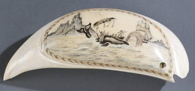 Appraisal: Whale tooth painted etched Scrimshaw A Scrimshaw whale tooth with