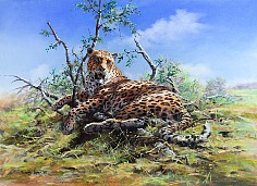 Appraisal: John Seerey-Lester Leopardpastel on paper x sight in