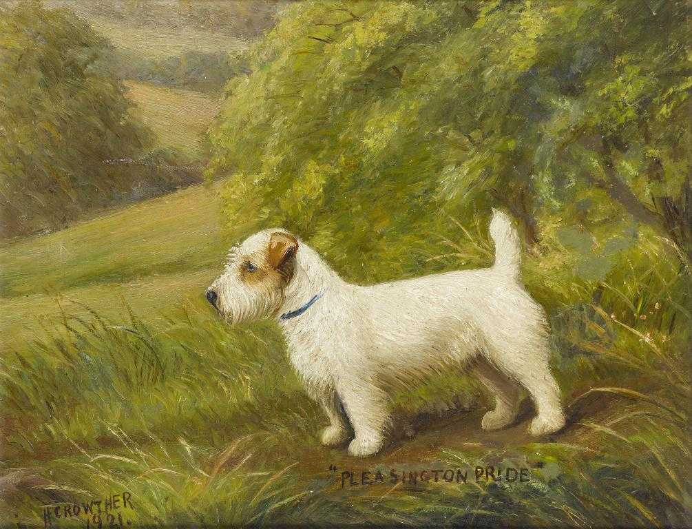 Appraisal: HENRY CROWTHER FL - PORTRAIT OF THE SEALYHAM TERRIER PLEASINGTON