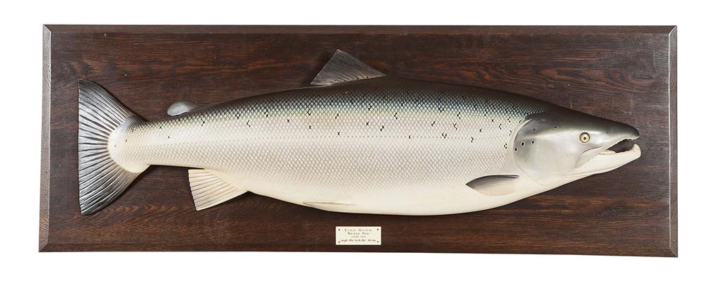 Appraisal: PAINTED MODEL OF A SALMON EARLY TH CENTURY on stained