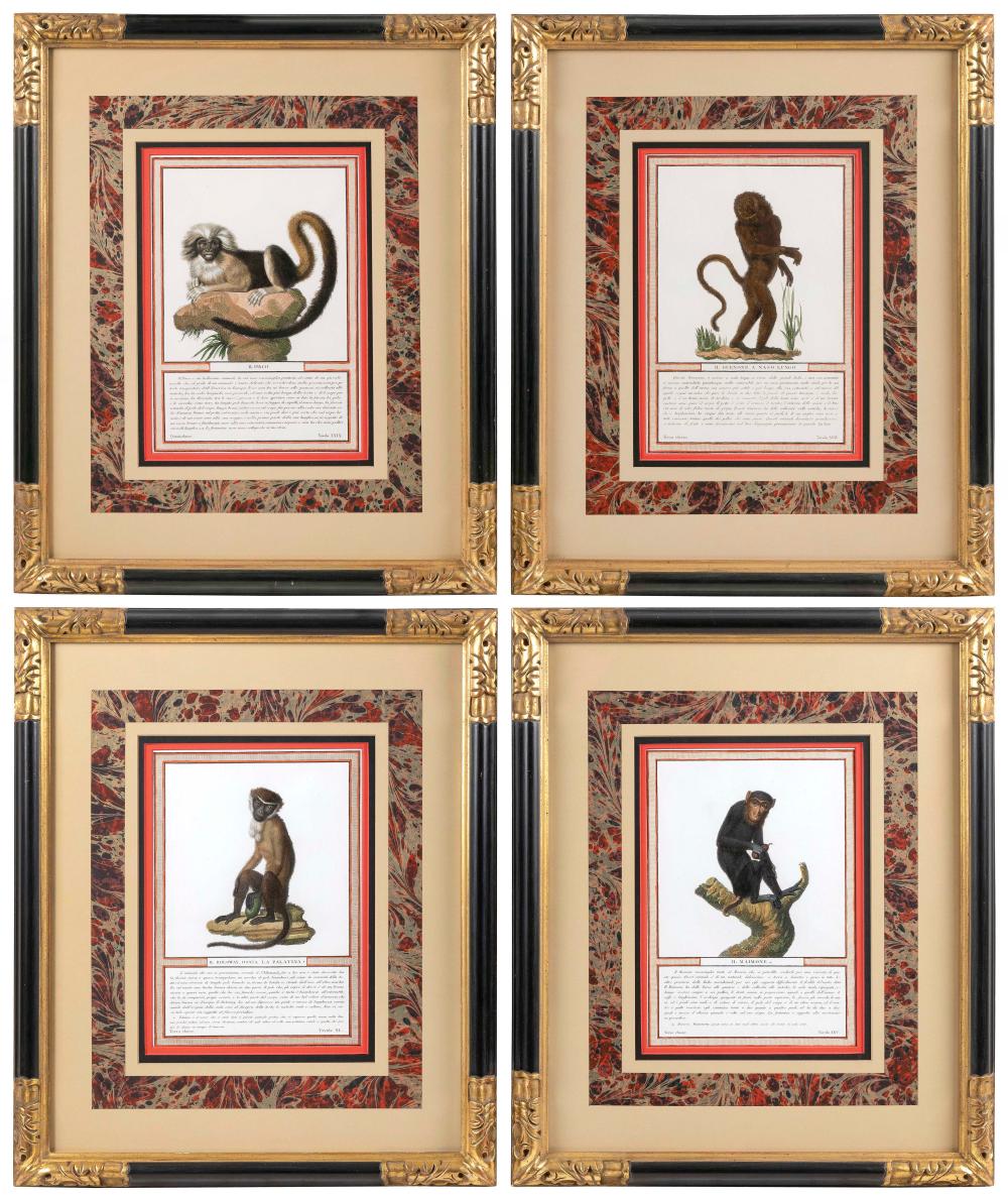 Appraisal: SET OF FOUR JACOB'S MONKEYS ENGRAVINGS EARLY TH CENTURY HAND-COLORED