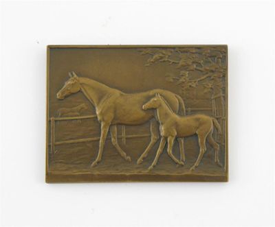 Appraisal: Pierre Nicholas Tourgeneff French - A rectangular bronze plaque of