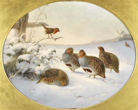 Appraisal: EDWARD NEALE BRITISH TH CENTURY GREY PARTRIDGE IN THE SNOW