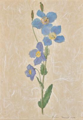 Appraisal: Lady Emma Tennant British born Meconopsis signed Emma Tennant and